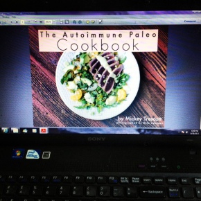 Book Review:  “The Autoimmune Paleo Cookbook”…and a Giveaway!